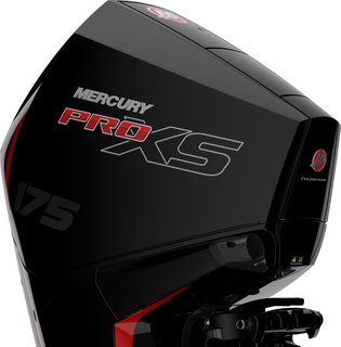 Mercury F175 L Pro XS MS