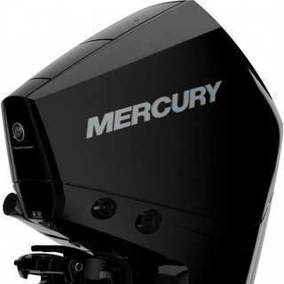 Mercury F 200 L DTS