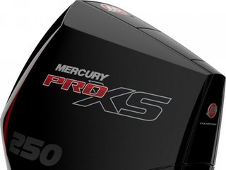 Mercury F 250 L Pro XS DTS