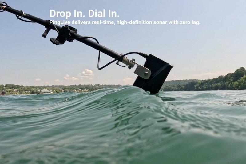 Accuphy PingLive Sonar