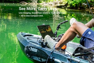 Accuphy PingLive Sonar