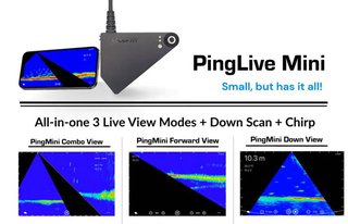 Accuphy PingLive Mini