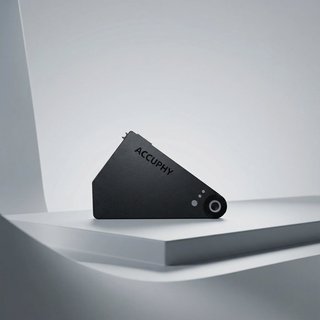 Accuphy PingLive Mini