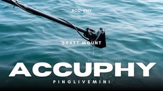 Accuphy PingLive Mini