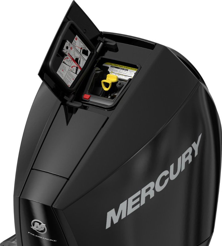 Mercury F175 L DTS